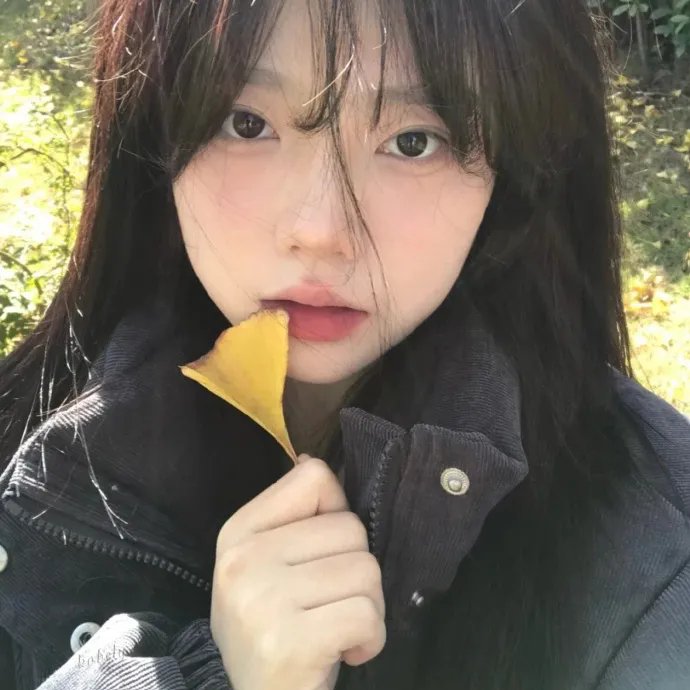 最佳拍档之寻找爱